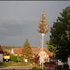 Noch steht der Maibaum...