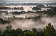 Noch träumen Wald und Wiesen