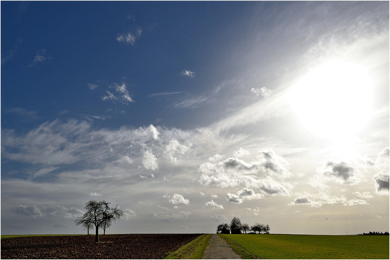 noch traurige kirschbäume in franken ...