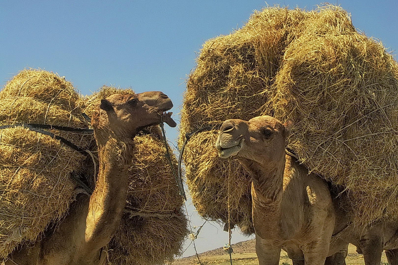 Noch üblich in Rajasthan