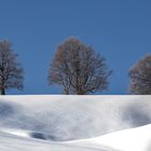 Noch unberührt...