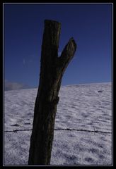 noch unberührte Landschaft?...