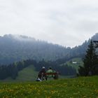 Noch versteckt sich die Sonne, aber die Luft ist schon so schön lau ...