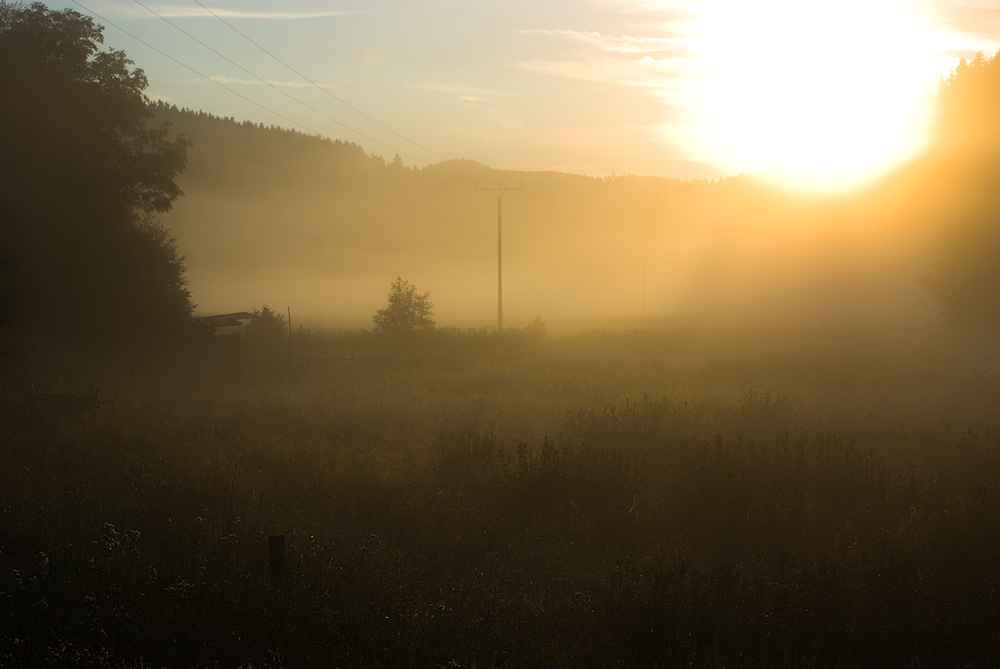 ... noch von Nebel bedeckt