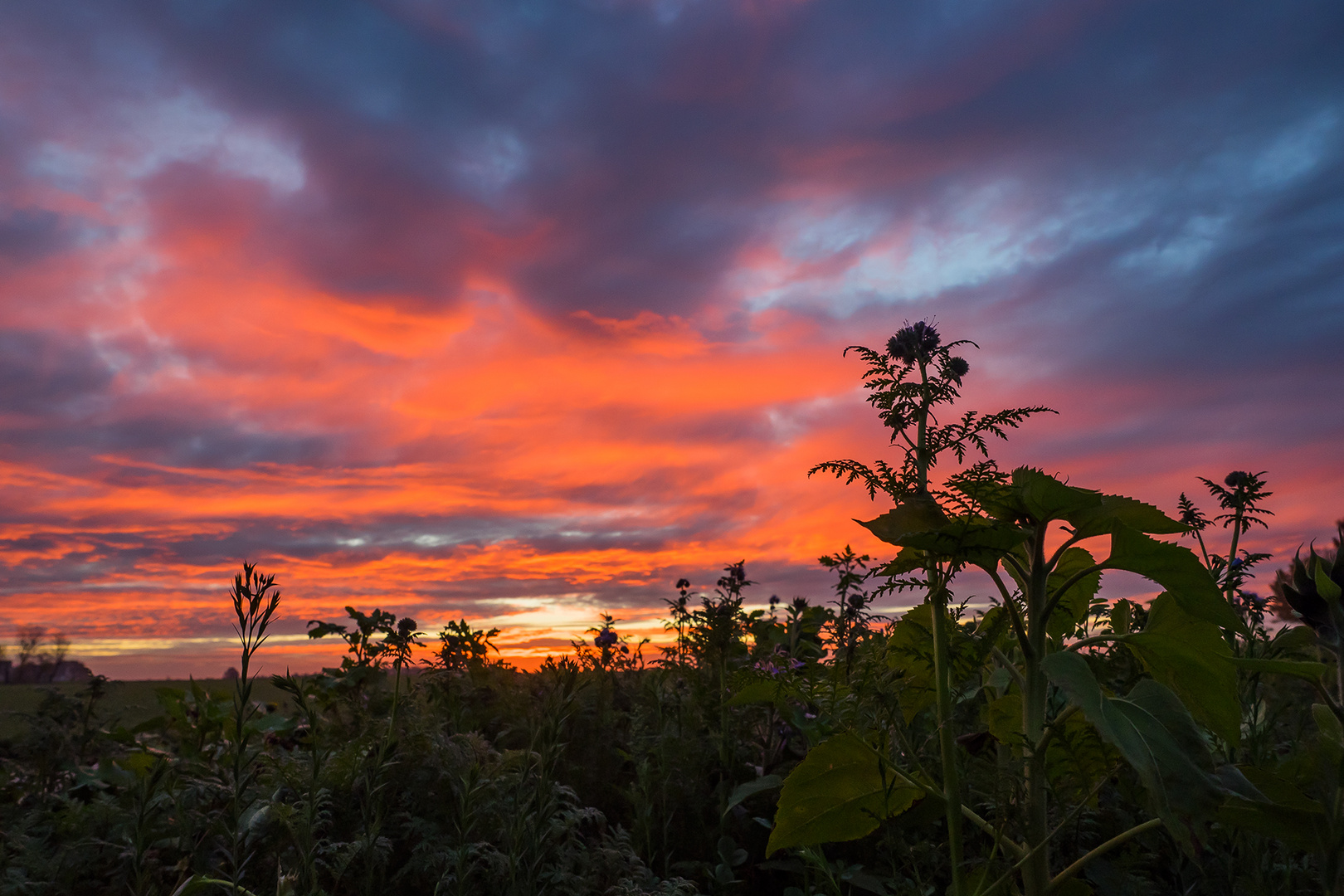 Noch vor dem Sonnenaufgang