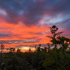 Noch vor dem Sonnenaufgang