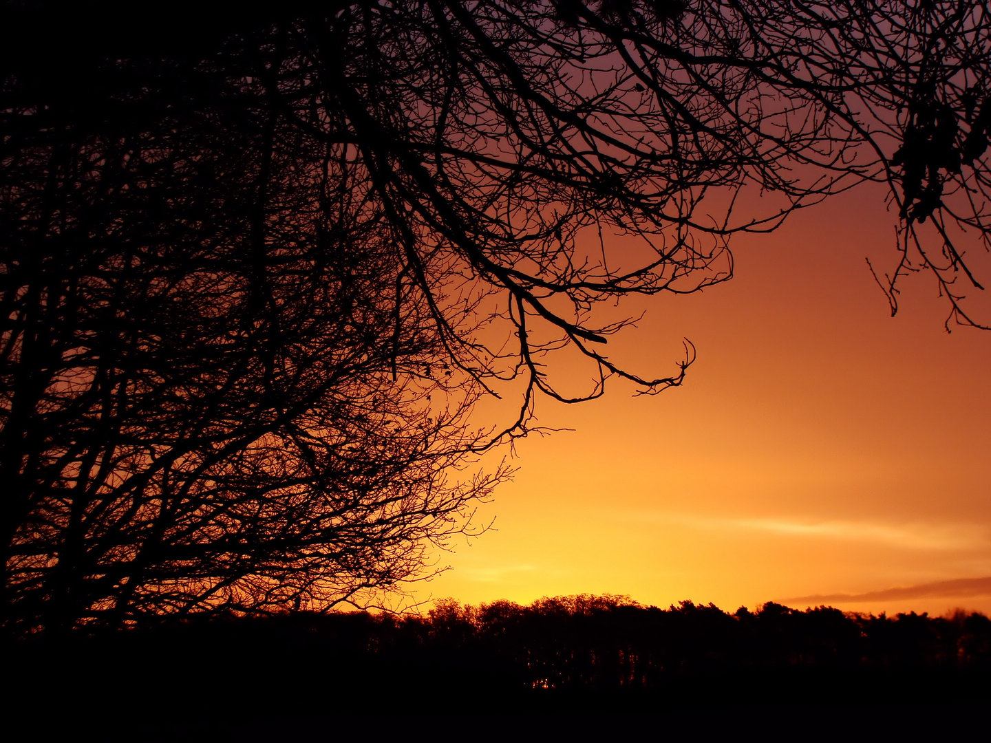 Noch vor dem Sonnenaufgang......