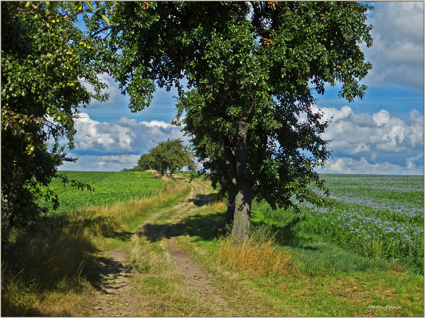 Noch wie vor langer Zeit