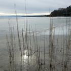 noch Winter am Ammersee