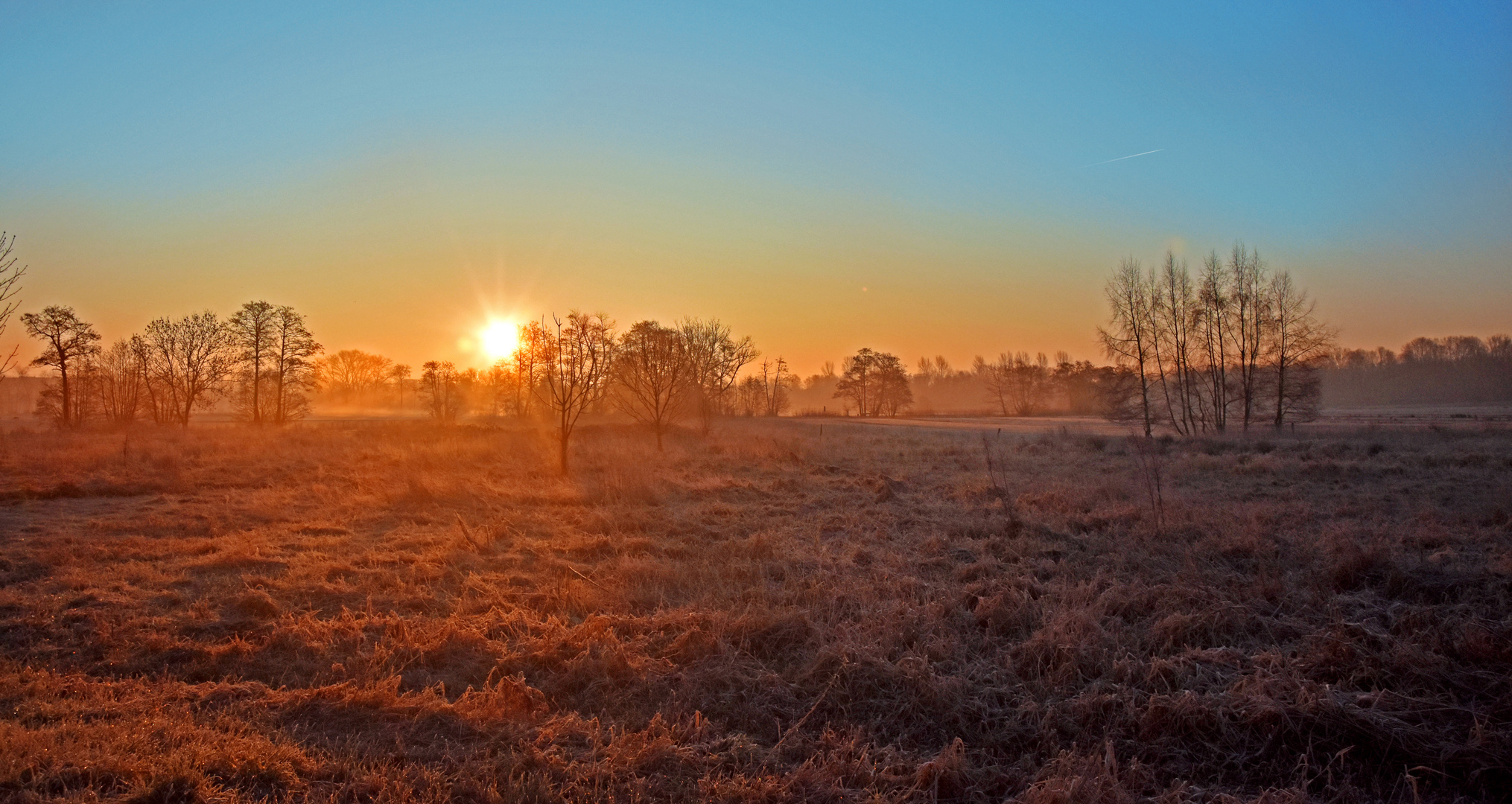 Noch Winter