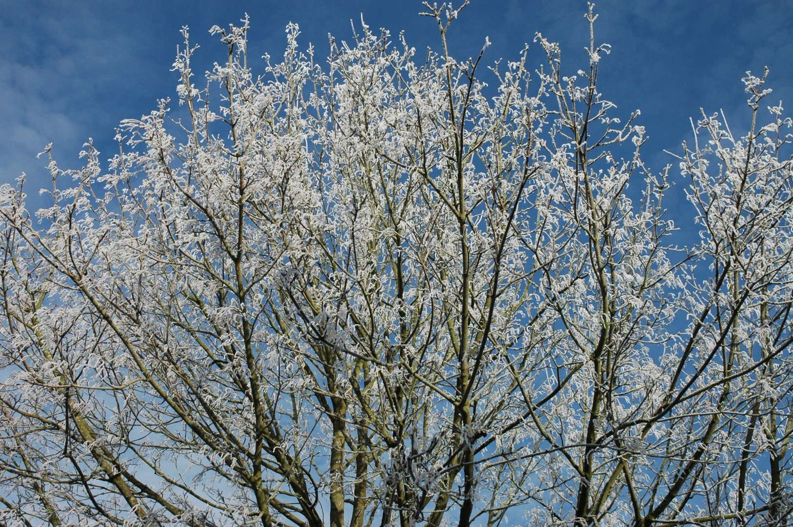 Noch Winter oder doch vielleicht schon Sommer?