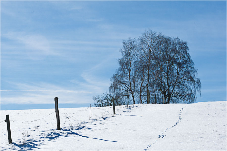 Noch-winterlich