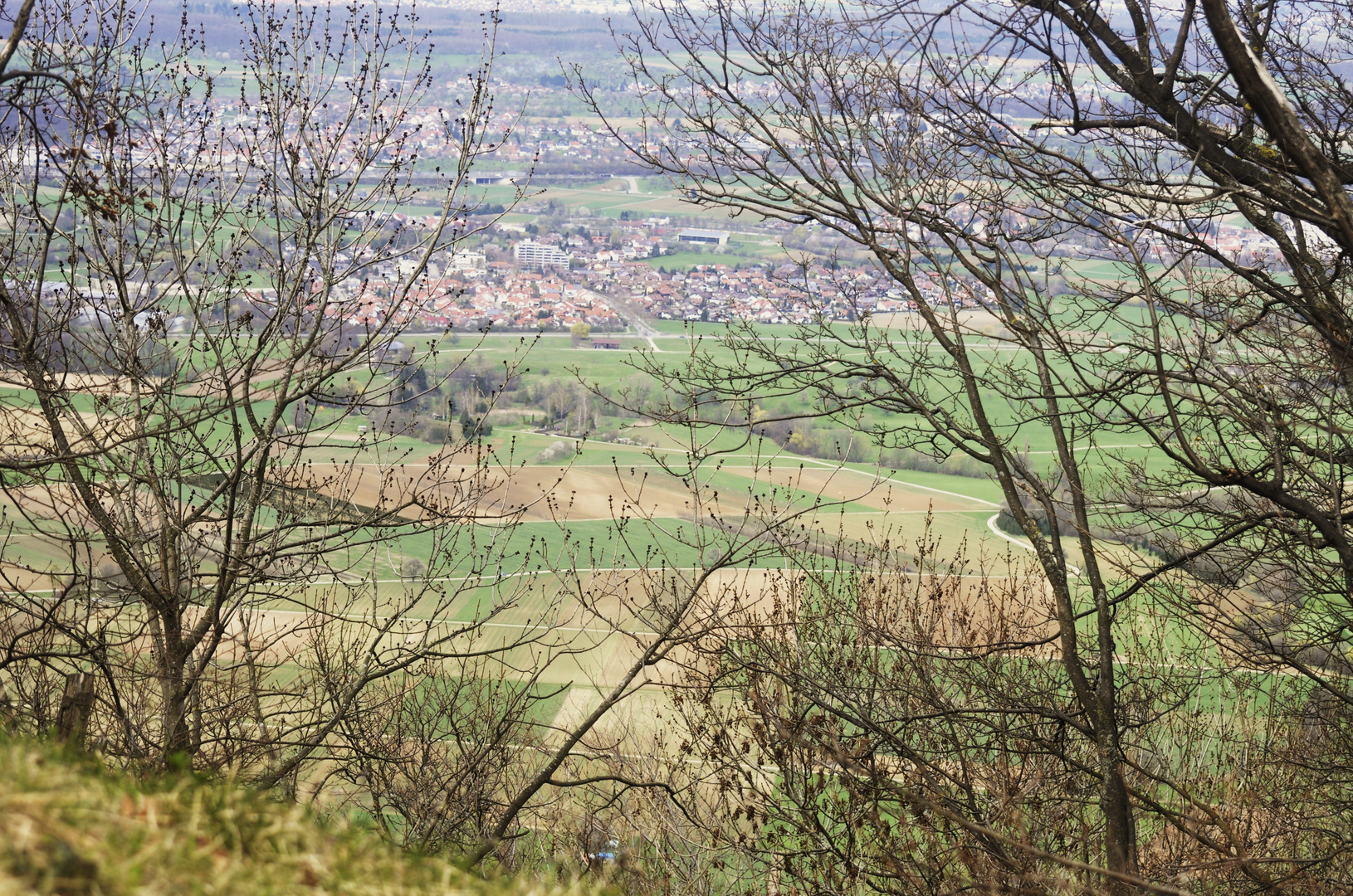 noch zaghaft der Frühling....