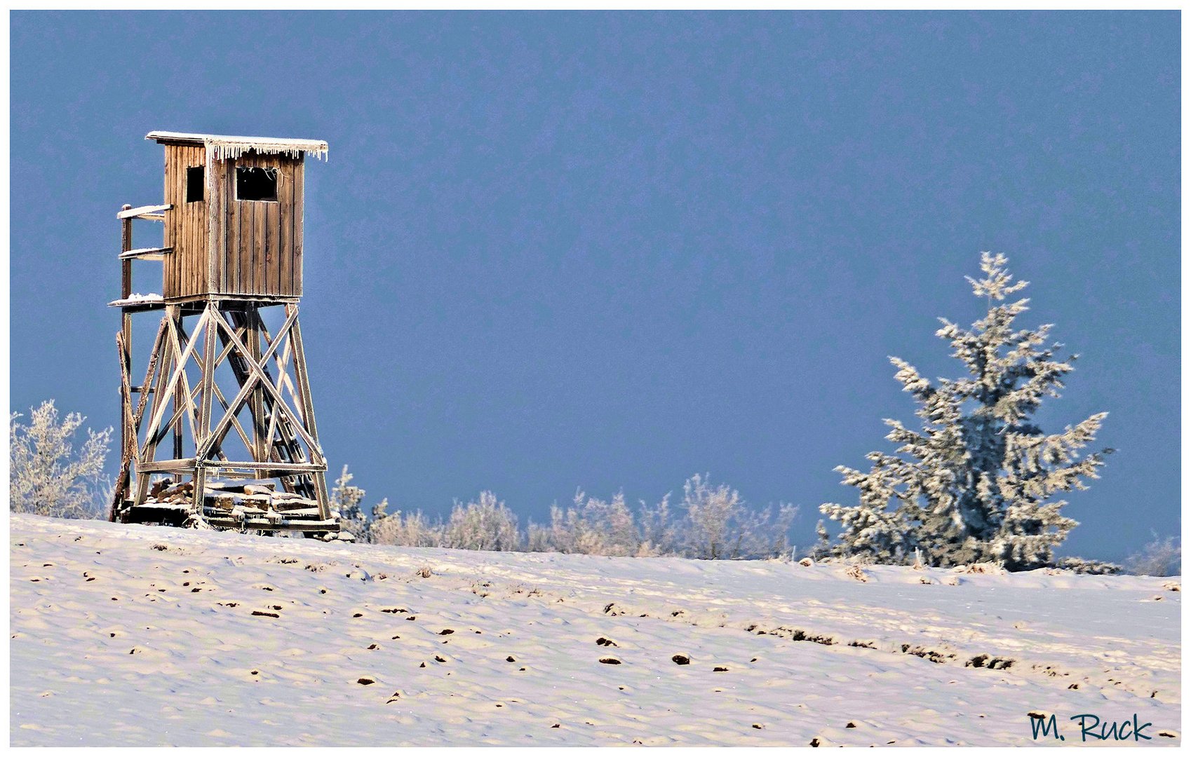 Noch zeigst sich der Winter von seiner schönsten Seite !