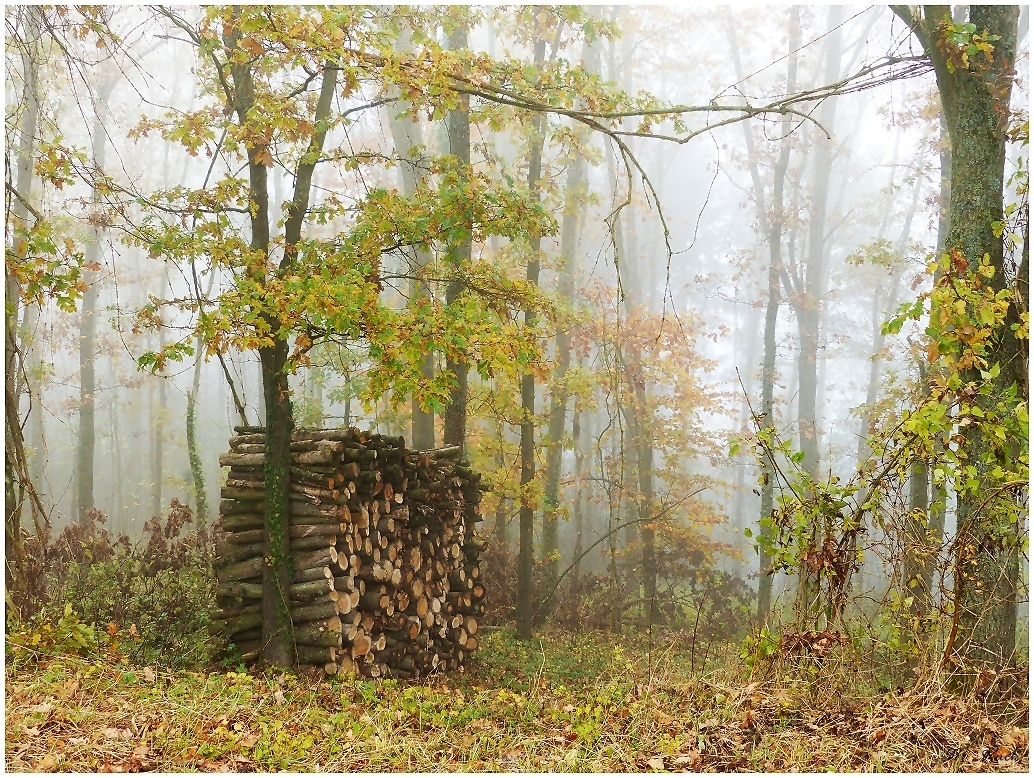 Noch ziehen die Nebel durch das Land ,