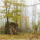 Noch ziehen die Nebel durch das Land ,