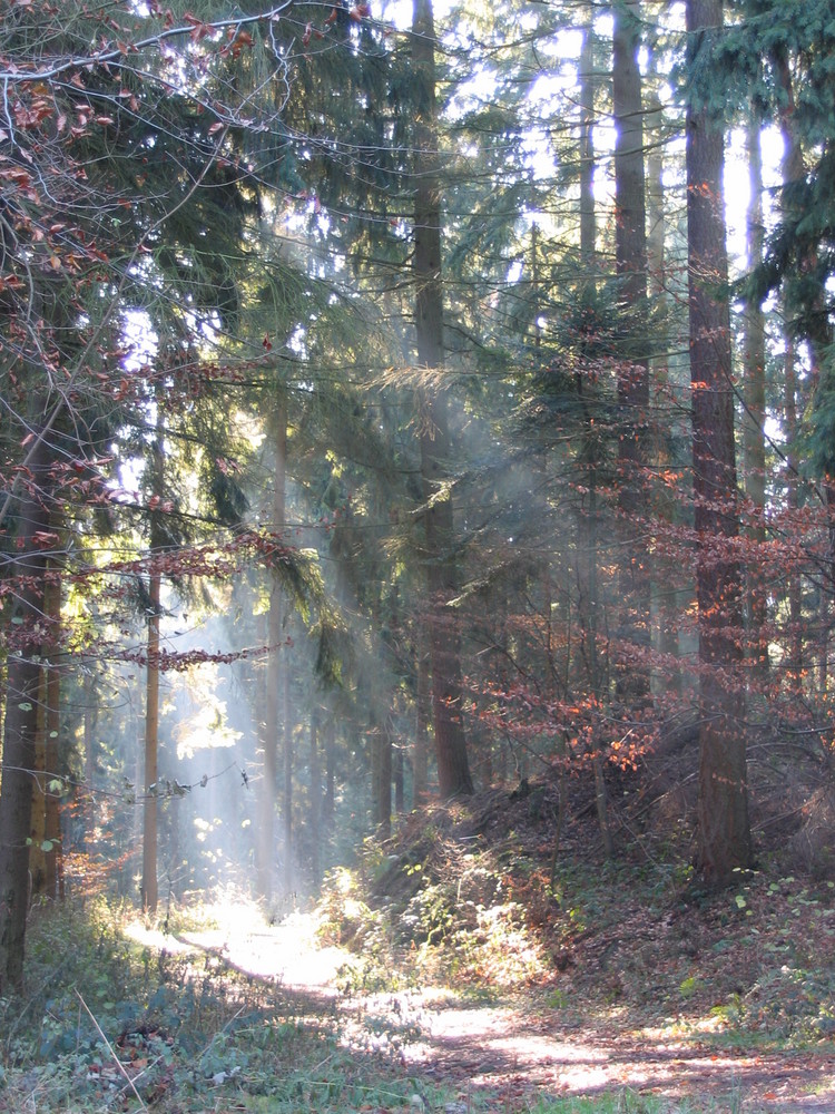 Noch zwanzig Minuten