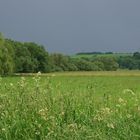 " Noch zwitschern die Vögel "