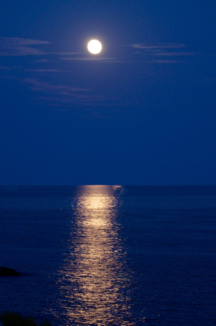 NOCHE DE LUNA LLENA