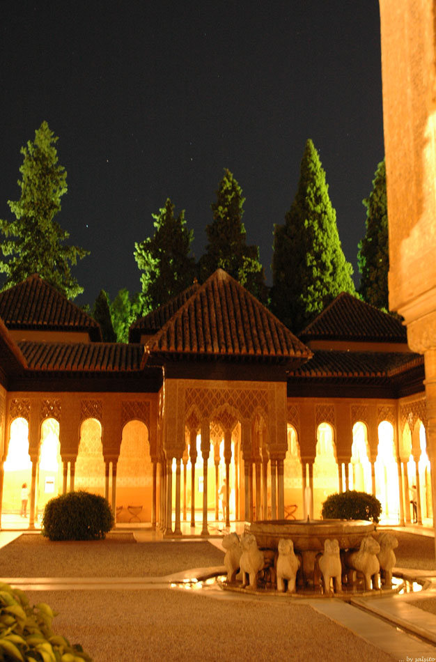 Noche en Alhambra#5