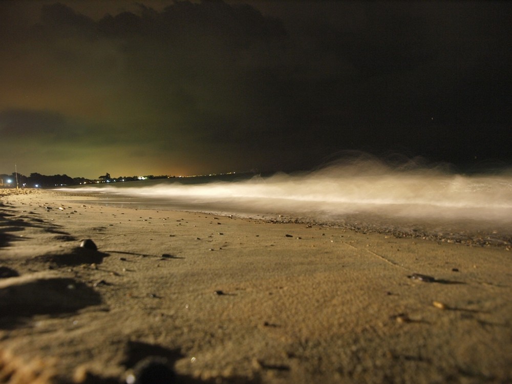 NOCHE EN LA PLAYA