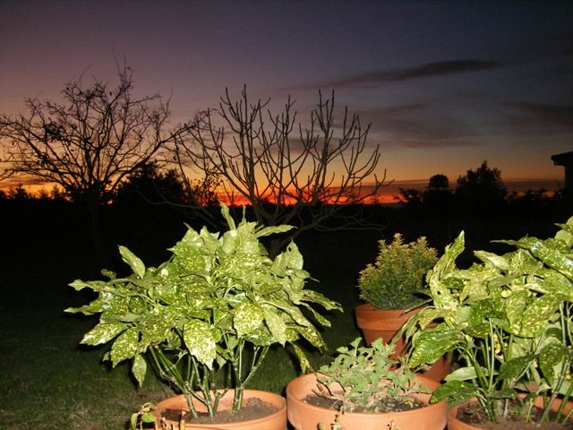 Noche roja