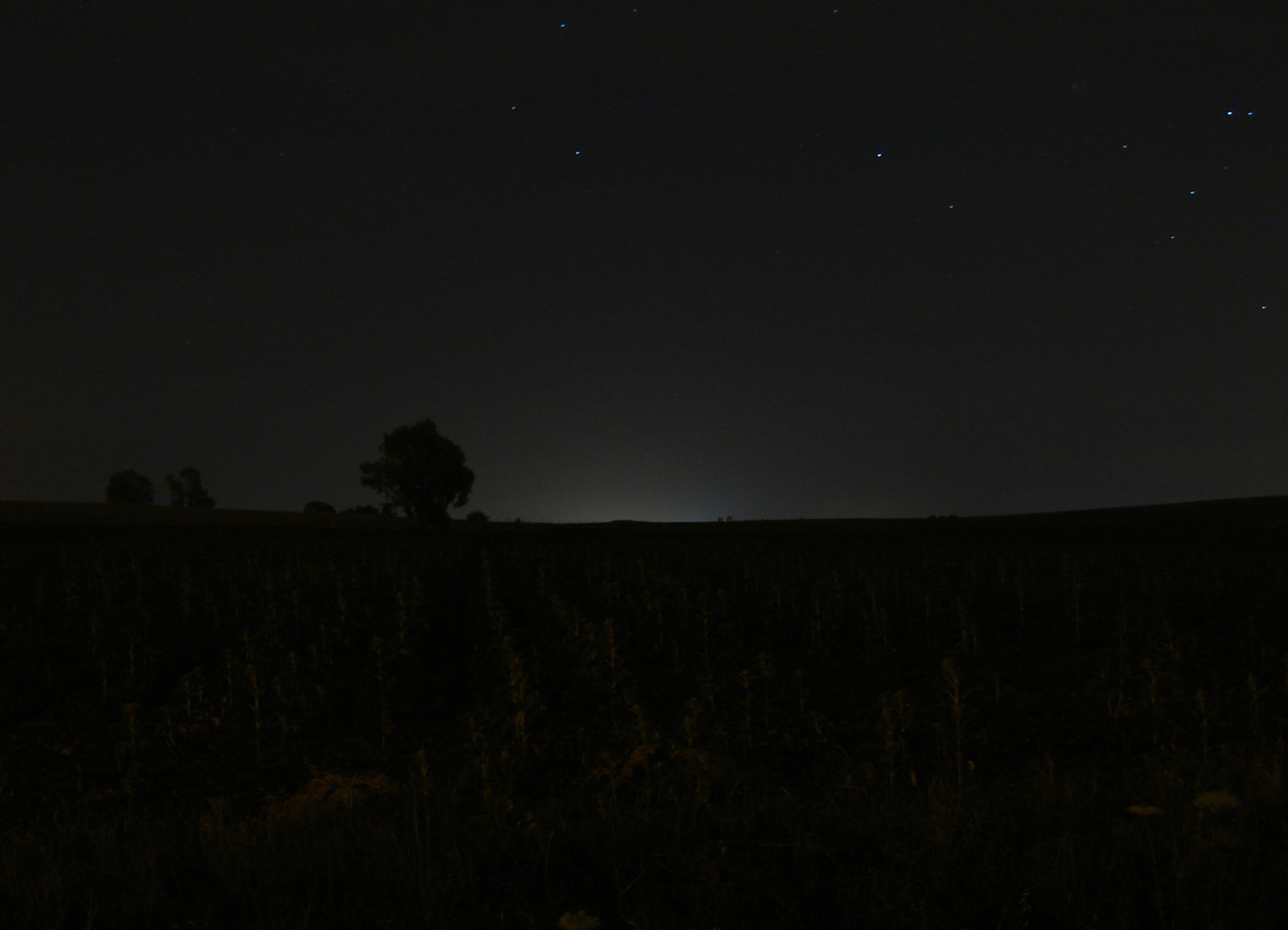 Noches de verano