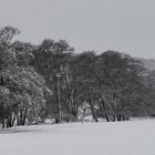 Nochherbst - Wintereinbruch