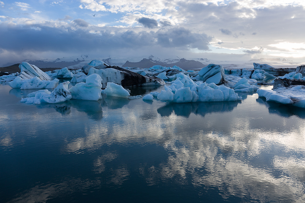 Nochmal abends am Jökulsárlón ...