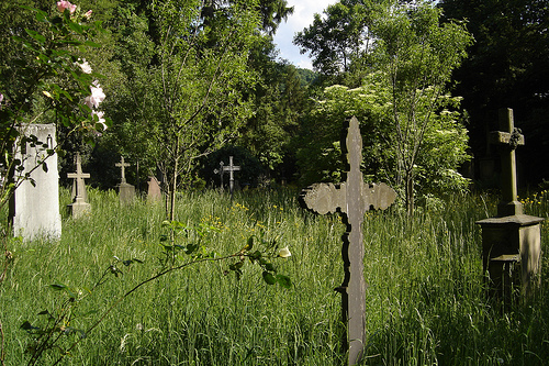 nochmal alter friedhof in freiburg