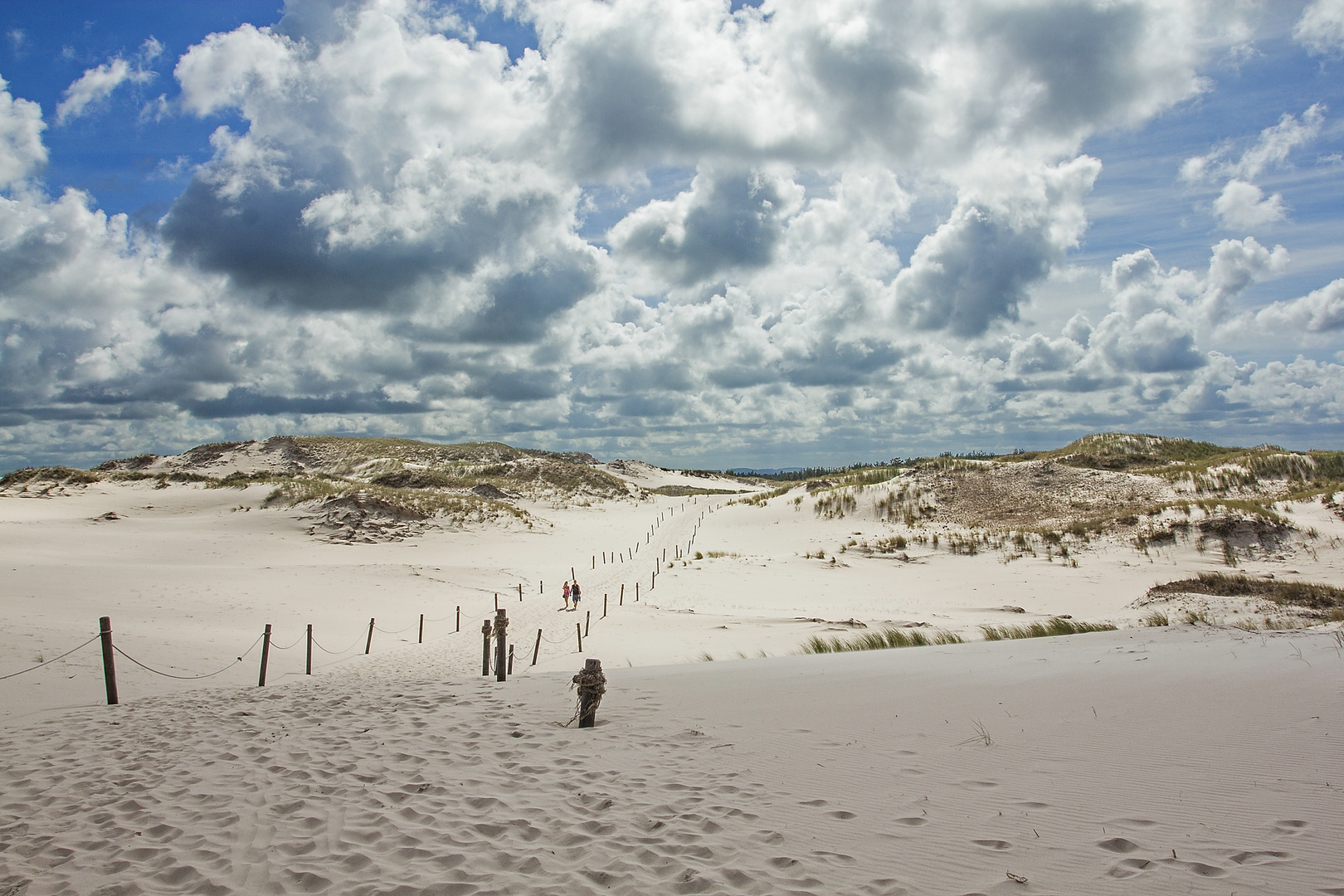 Nochmal auf der Düne