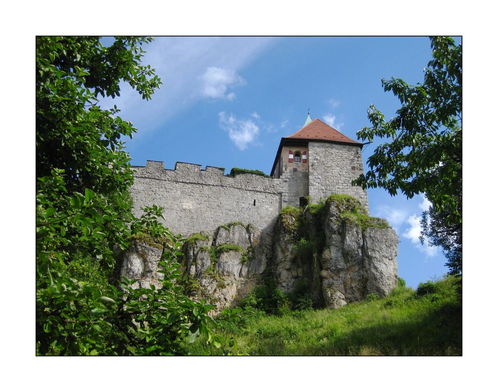 Nochmal Burg Hohenstein