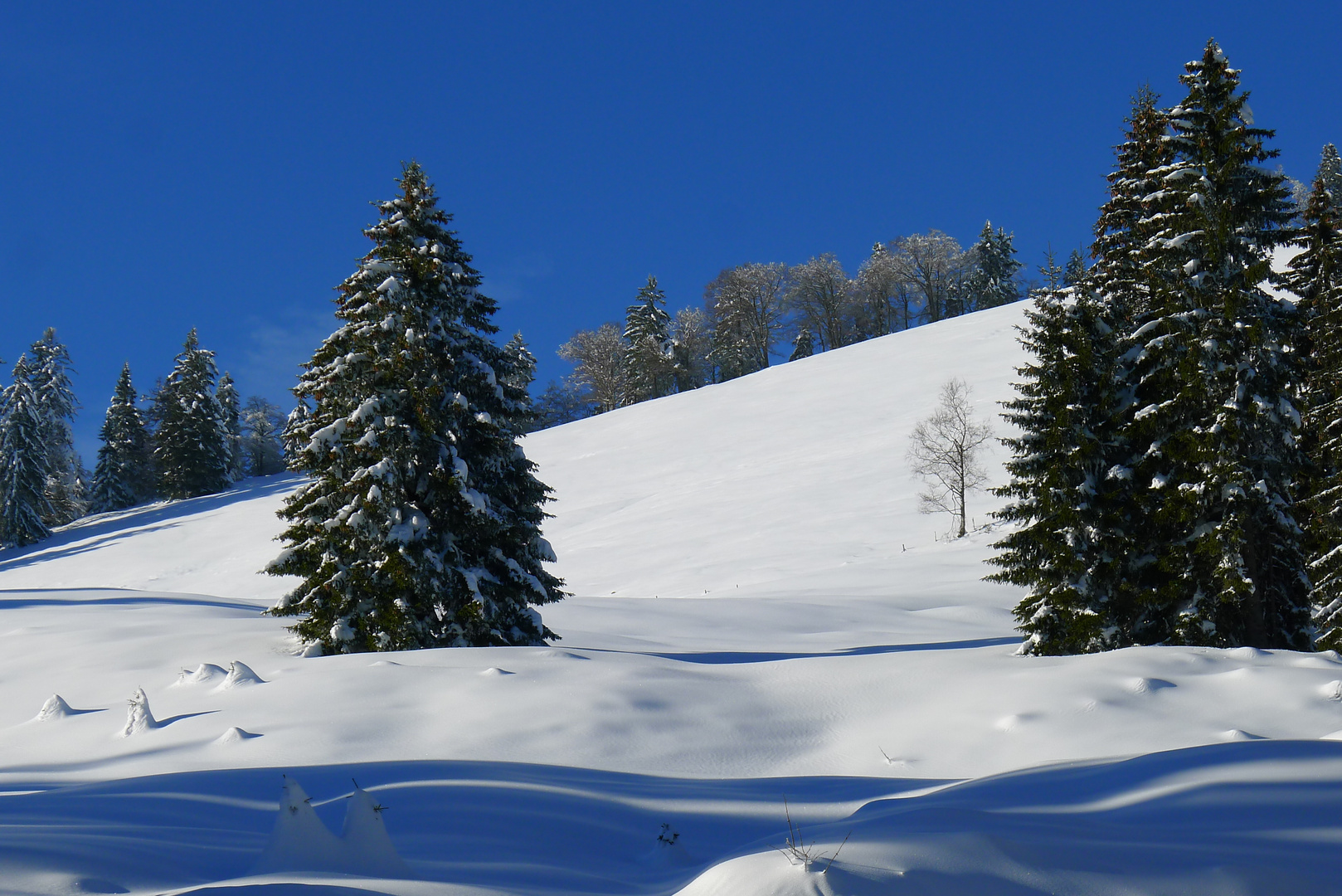 Nochmal das Kojental, an der Fluh entlang - weil es hier so schön ist.