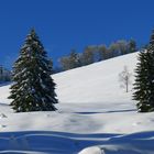 Nochmal das Kojental, an der Fluh entlang - weil es hier so schön ist.