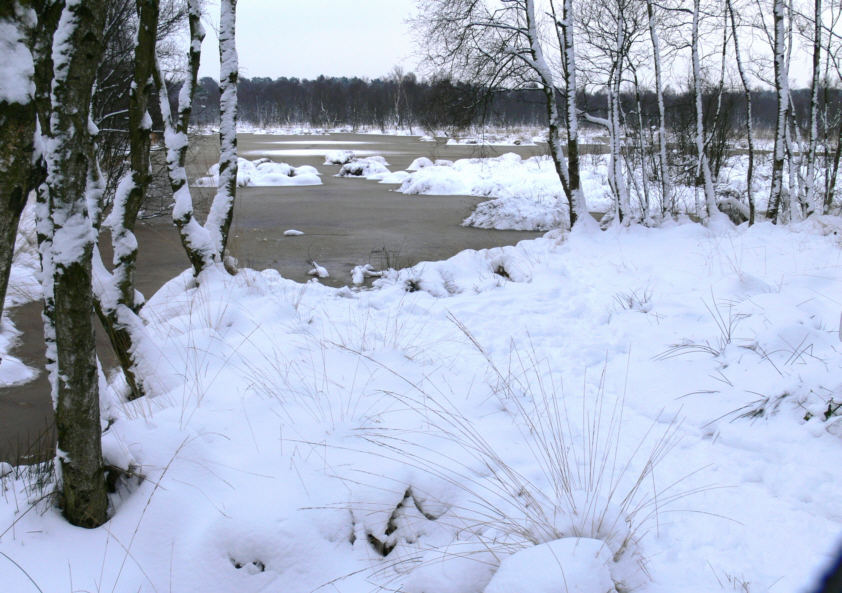 Nochmal das Moor