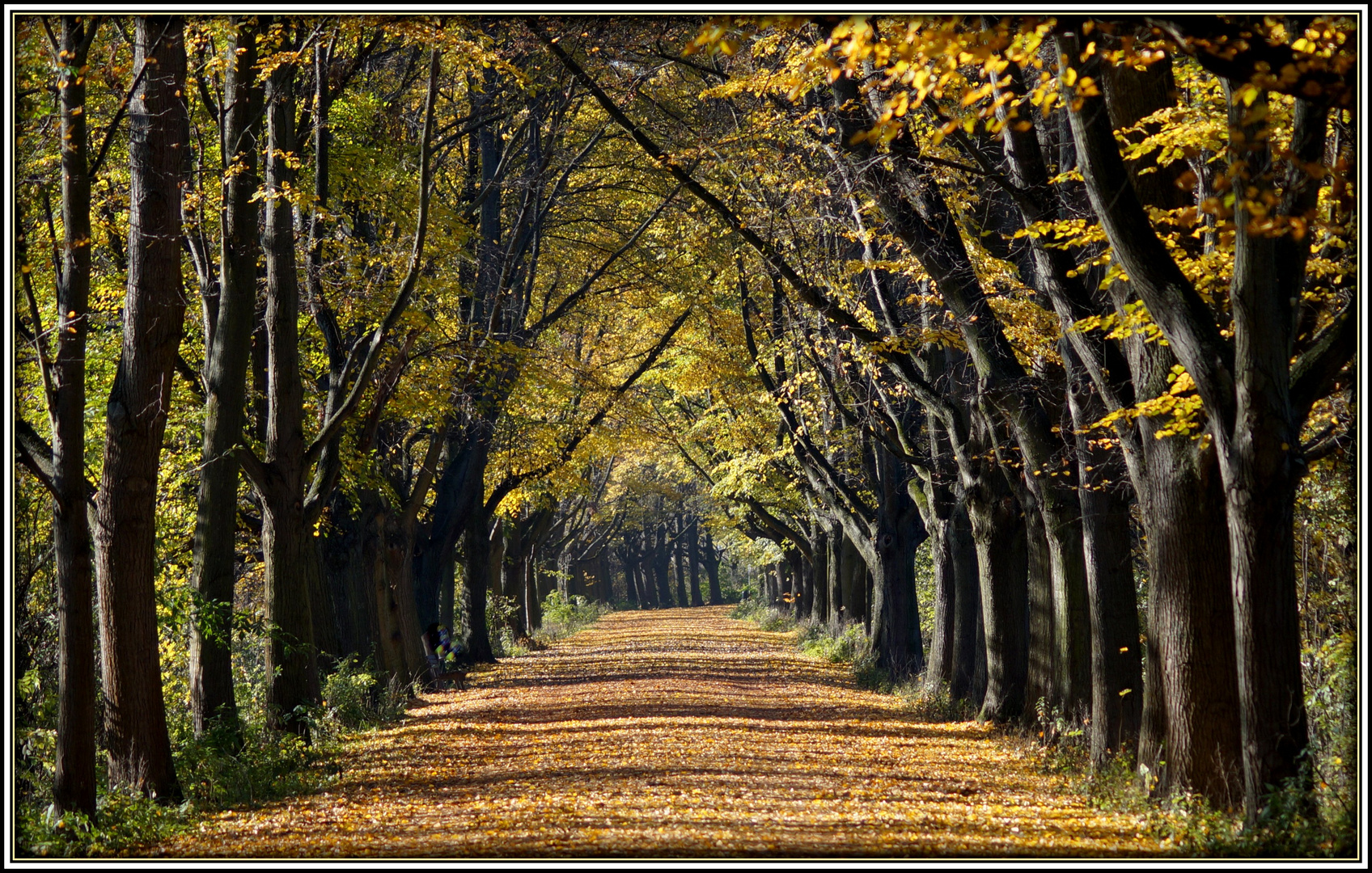 nochmal der Herbst