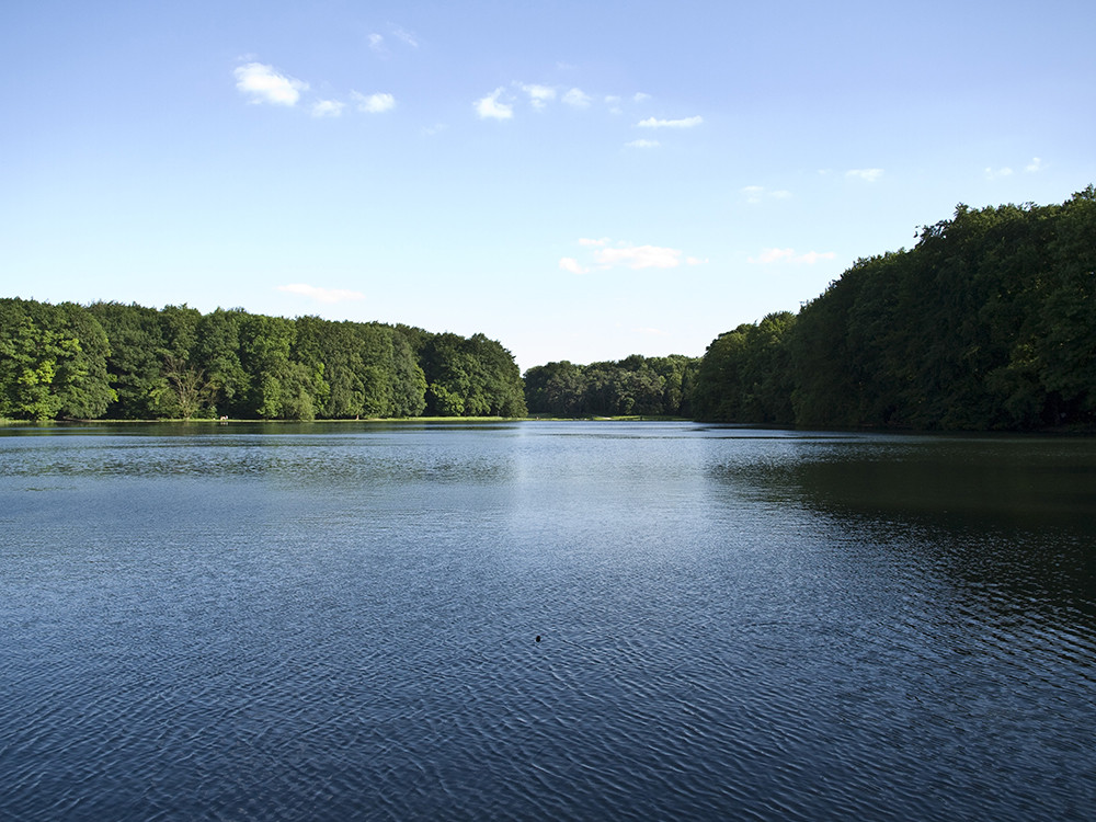 Nochmal der Weiher im Panorama Foto & Bild landschaft, bach, fluss