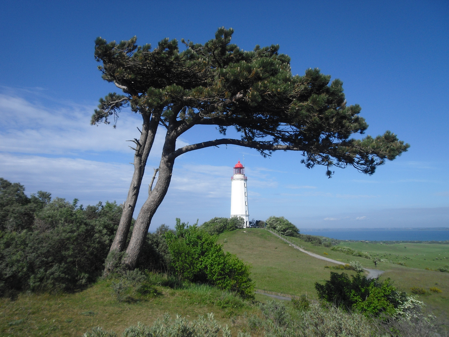 Nochmal der Windflüchter mit dem Leuchtturm