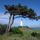 Nochmal der Windflüchter mit dem Leuchtturm