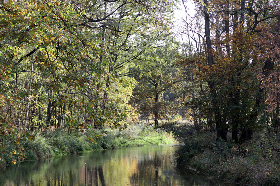 Nochmal ein bischen Herbst im Spreewald