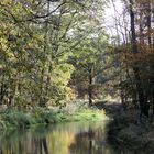 Nochmal ein bischen Herbst im Spreewald