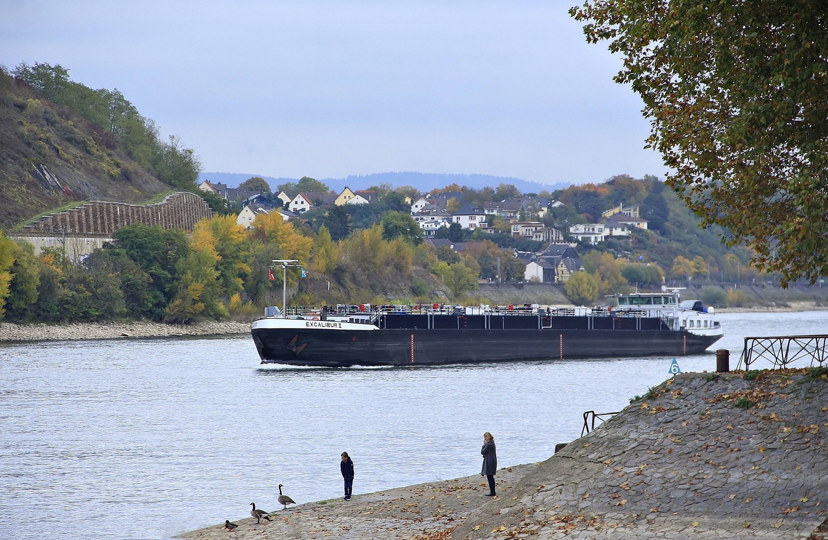 nochmal ein Herbstbild mit Papa Rhein