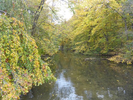 Nochmal ein Herbstmotiv....