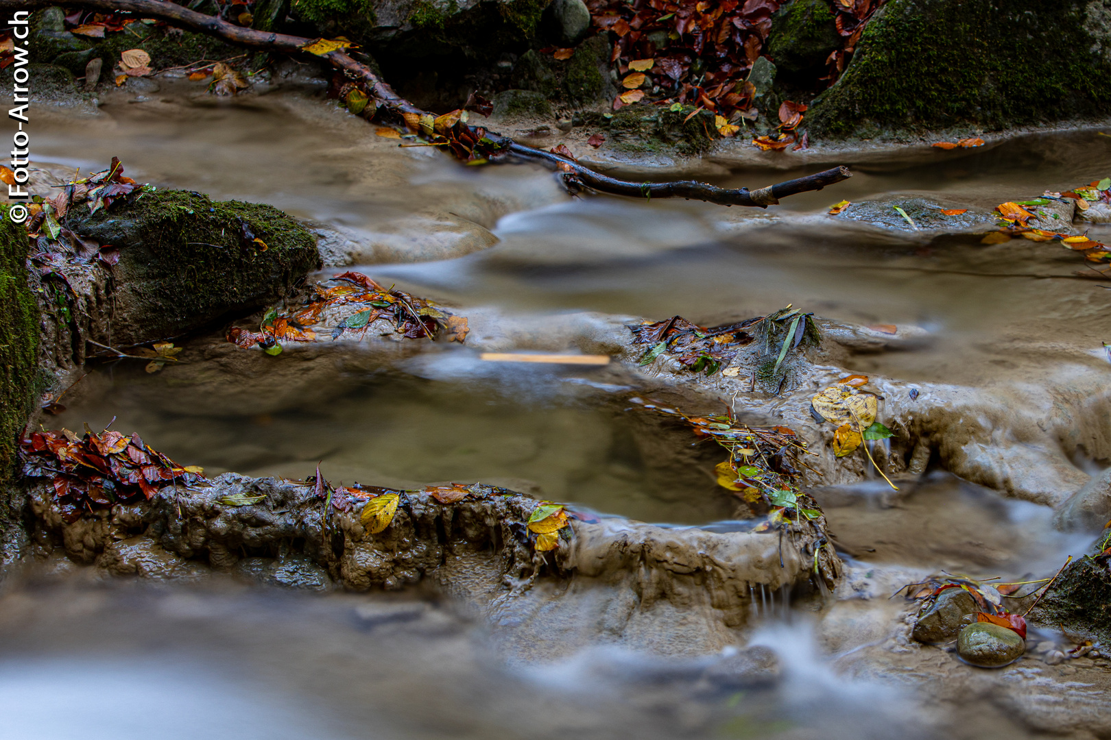 Nochmal etwas Herbst .... bevor der Winter kommt...