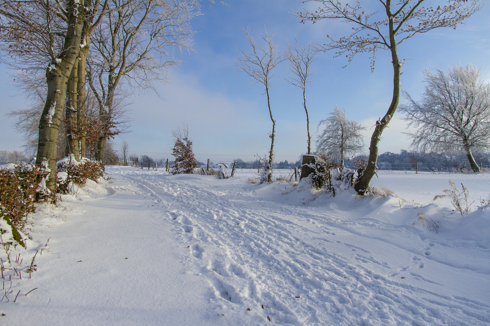 nochmal Feldweg in Simmerath-Lammersdorf