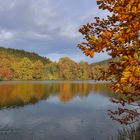 Nochmal goldener Oktober heute