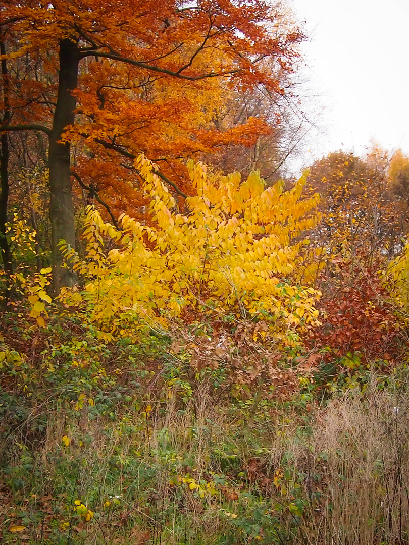 Nochmal Herbst