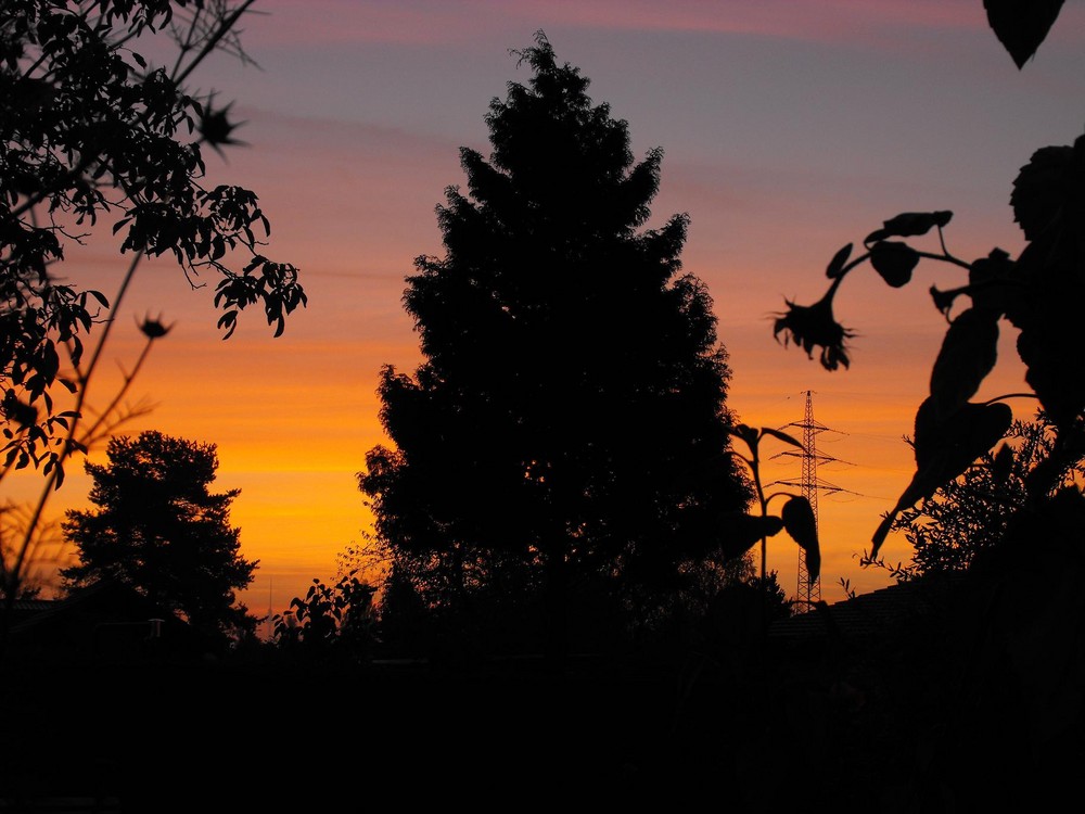 Nochmal heute früh gegen 6:40 Uhr