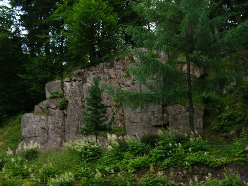 Nochmal im Park in Bad Wildbad