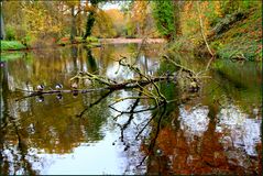 Nochmal in Herbstfarben baden.....